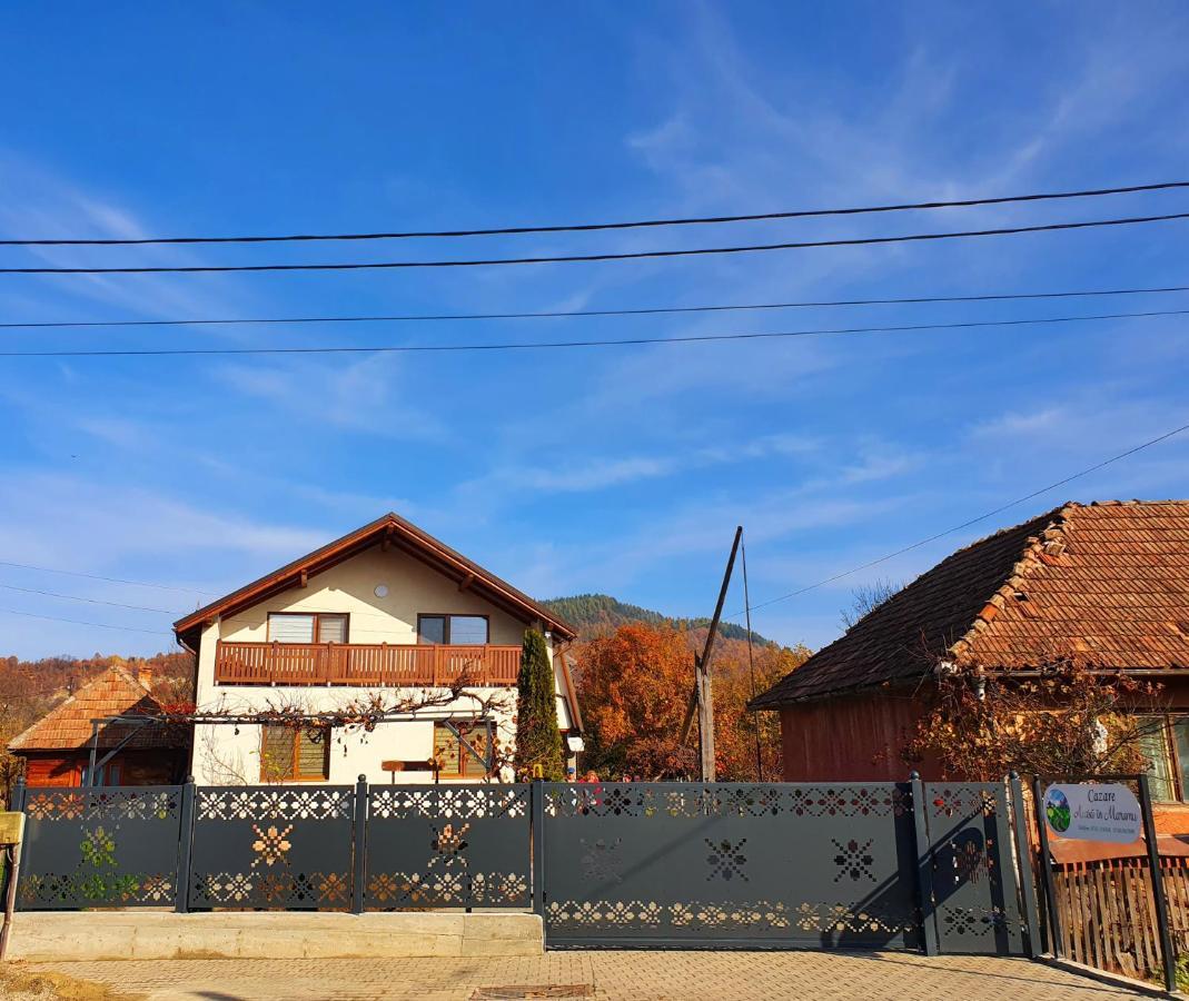 Domeniul Acasa In Vadu Izei Maramu酒店 外观 照片